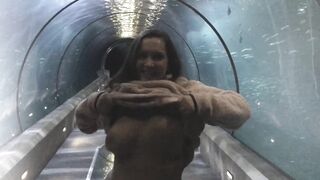 Big titties in a shark tunnel ? - Big Boobs Gone Wild