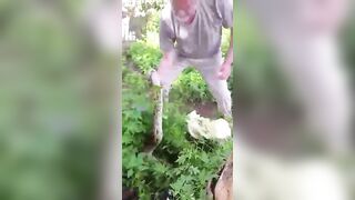 Larger Than U Thought: Grand-dad pulls out his huge python without thick bushes