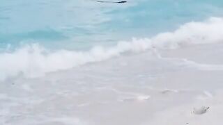 Gabriella Lenzi ~ white bikini in the surf.