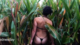 I really suck at corn mazes. Help! - Athletic Babes