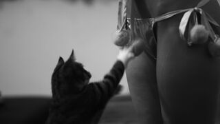 Kitten Disrupts Bondage Session - BDSM
