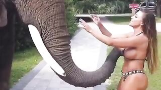 I wish I was the elephant